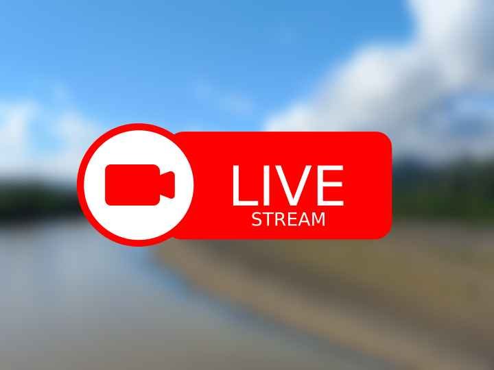 TRANSMISIÓN EN VIVO